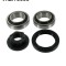 SKF VKBA 3666 Set rulment roata