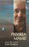 Privirea mamei | Dan Stanca, 2020, Vremea