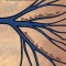 Medicine in Brief: Name the Disease in Haiku, Tanka and Art