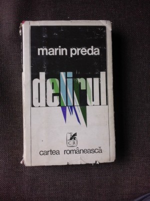 DELIRUL - MARIN PREDA foto