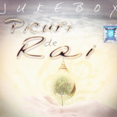 CD Rock: Jukebox - Picuri de Rai ( 2009, original, stare foarte buna, ca nou )