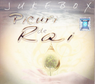 CD Rock: Jukebox - Picuri de Rai ( 2009, original, stare foarte buna, ca nou ) foto