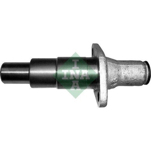 Schaeffler INA intinzator, lant distributie