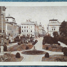 104 - Arad Parcul Xenopol / carte postala