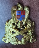 QW14 - Emblema militara / cuc - Uscat - piesa de colectie
