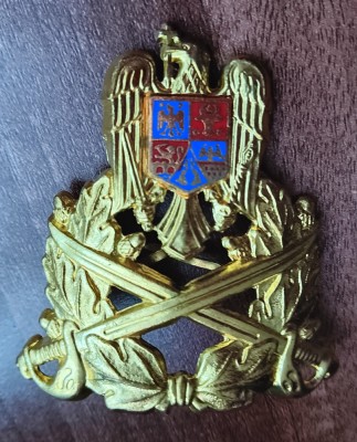 QW14 - Emblema militara / cuc - Uscat - piesa de colectie foto