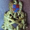 QW14 - Emblema militara / cuc - Uscat - piesa de colectie