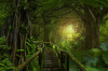 Fototapet autocolant Lumina din jungla, 300 x 200 cm
