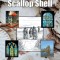 Seeking the Scallop Shell