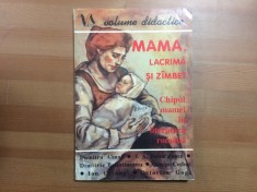 mama lacrima si zambet chipul mamei in literatura romana culegere texte studiu literar editura vizual 1995 190 pagini
