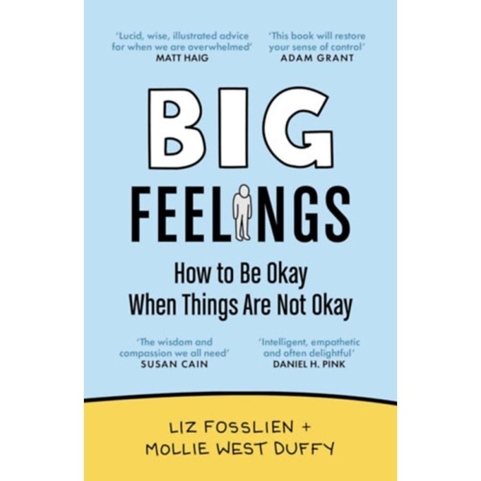 Big feelings - Liz Fosslien