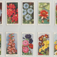 1938 Flori de gradina - set complet 50 cartonase WILLS Cigarette Cards