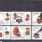 ROMANIA 2019, Colecții rom&acirc;nești GRAMOFOANE,cu tabs, MNH, Lp 2266
