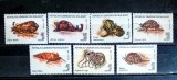 Madagascar 1993. Fauna marina moluște i serie 7v. nestampilat