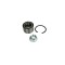 Set rulment roata FIAT DUCATO platou sasiu 250 290 BTA H1C021BTA