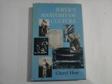 JOYCE&quot;S ANATOMY OF CULTURE - Cheryl Herr