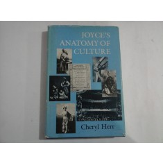 JOYCE&quot;S ANATOMY OF CULTURE - Cheryl Herr
