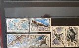 Teritoriul Sudic si Antarctic Francez (TAAF) 1976 Fauna Antarctica, serie MNH, 6v