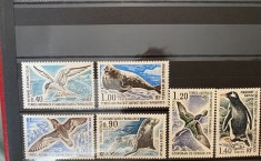 Teritoriul Sudic si Antarctic Francez (TAAF) 1976 Fauna Antarctica, serie MNH, 6v