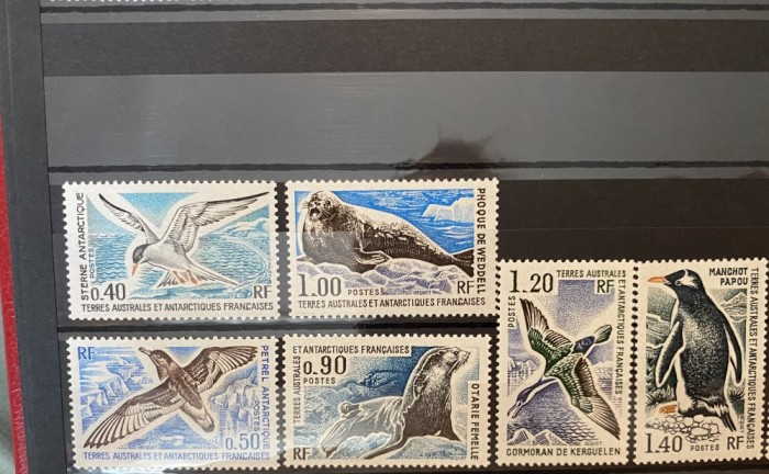 Teritoriul Sudic si Antarctic Francez (TAAF) 1976 Fauna Antarctica, serie MNH, 6v