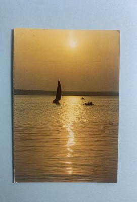 Calendar 1984 Yole foto