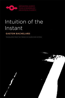 Intuition of the Instant foto