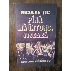 P&acirc;nă mă &icirc;ntorc, visează - Nicolae Țic (autograf)