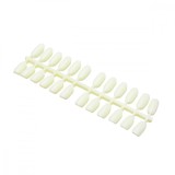 Paletar de exersat oval 24 pozitii - Milk