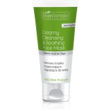 Bielenda Professional Acne Free ProExpert masca pentru curatare si calmare 150 ml