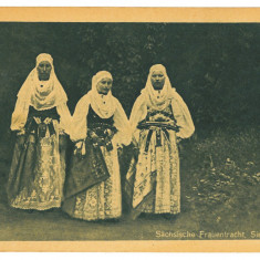 3549 - Ardeal ETHNIC women, Port Popular, Romania - old postcard - unused