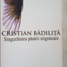 Singuratatea pasarii migratoare- Cristian Badilita