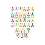 Alfabetul limbii romane &ndash; Set planse (KP-019) - 20x30