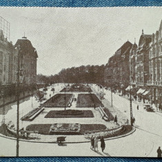 528 - Timisoara - Piata Regele Ferdinand, carte postala necirculata / vedere