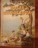 Gulia Coroliova - E. Ilina, Editia II, 1951 - Carte Copii Educativa, Editura Tineretului