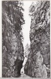 Bnk cp Cheile Dambovicioarei - Vedere - uzata, Necirculata, Printata, Arges