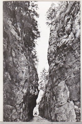 bnk cp Cheile Dambovicioarei - Vedere - uzata foto