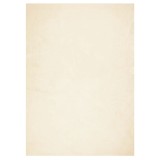 Cumpara ieftin Covor HUARTE, fir scurt, moale si lavabil, crem, 240x340 cm