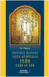 Pastorul alungat. Viața Sf&acirc;ntului Ioan Gură de Aur - Paperback brosat - A. Pascu - Meteor Press