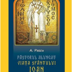 Pastorul alungat. Viața Sfântului Ioan Gură de Aur - Paperback brosat - A. Pascu - Meteor Press