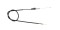 Foto  - 1