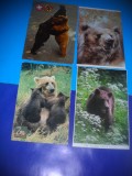HOPCT LOT NR 421 URS/URSI -FAUNA -4 CARTI POSTALE-NECIRCULATE, Necirculata, Printata