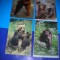 HOPCT LOT NR 421 URS/URSI -FAUNA -4 CARTI POSTALE-NECIRCULATE