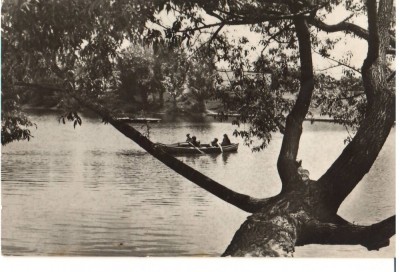 CPIB 16407 CARTE POSTALA - CAMPINA. CU BARCA PE LAC foto