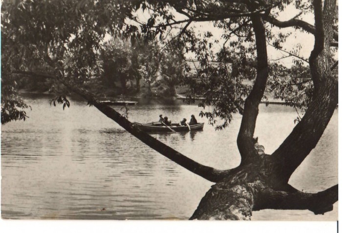 CPIB 16407 CARTE POSTALA - CAMPINA. CU BARCA PE LAC