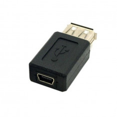 Adaptor USB A mama la Mini USB mama