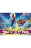 Minunile lui Isus. Carte 3D