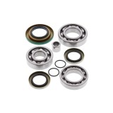 Kit rulmenti si simeringuri grup Can-Am BRP All Balls AB25-2086
