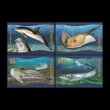 Faună protejată din Marea Neagră 2022 LP 2366