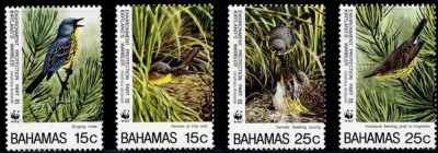 BAHAMAS 1995 WWF FAUNA PROTEJATA PASARI foto