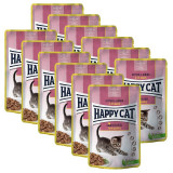 Cumpara ieftin Happy Cat MEAT IN SAUCE Kitten &amp;amp; Junior Land-Gefl&uuml;gel / Poultry 12 x 85 g